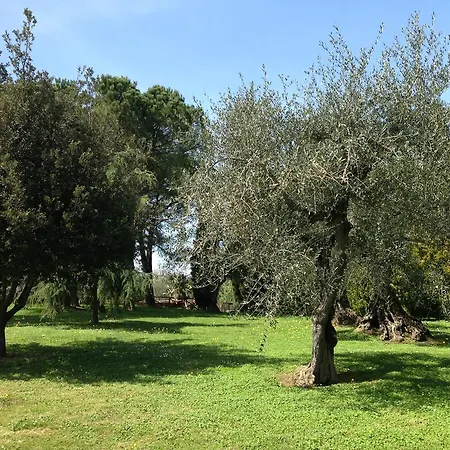 Farm stay La Casa Di Gio