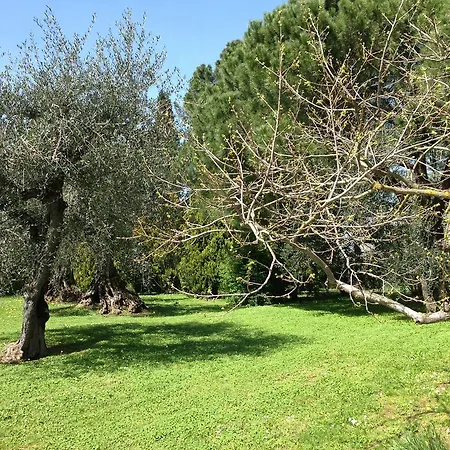 La Casa Di Gio Torre A Castello